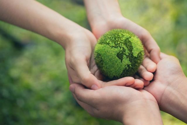 entretien des espaces verts