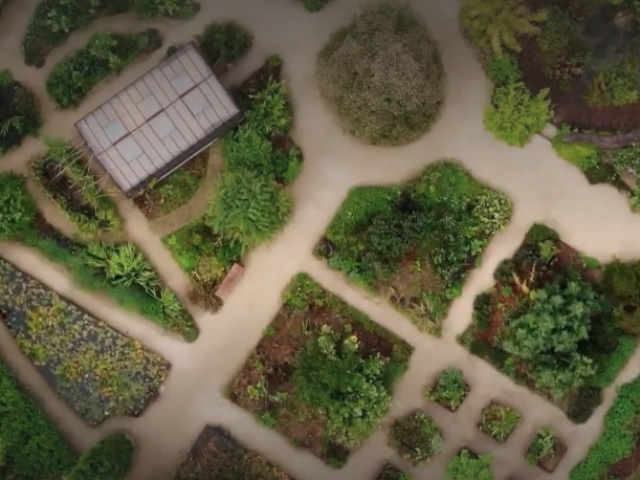 JARDIN NON CONVENTIONNEL, JARDIN ÉCOLOGIQUE OU JARDIN NATUREL... QUESAKO ?